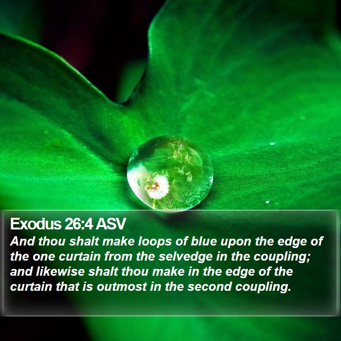 Exodus 26:4 ASV Bible Study