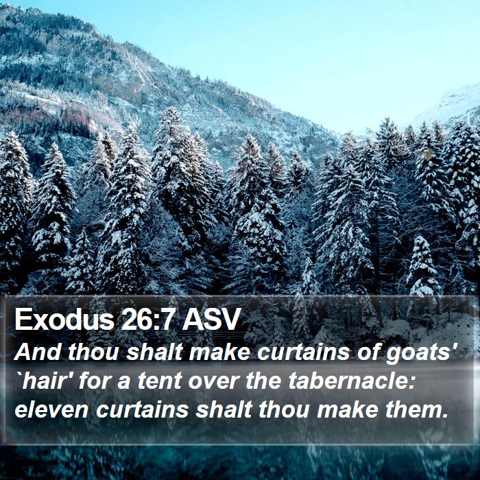 Exodus 26:7 ASV Bible Study