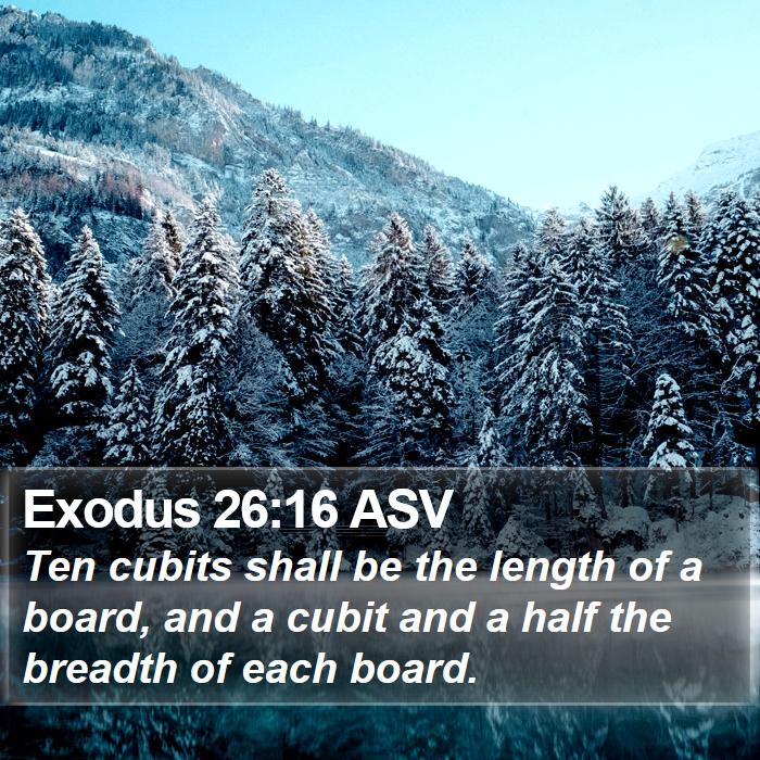 Exodus 26:16 ASV Bible Study