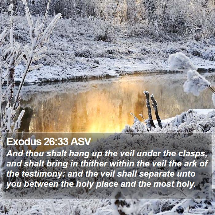 Exodus 26:33 ASV Bible Study