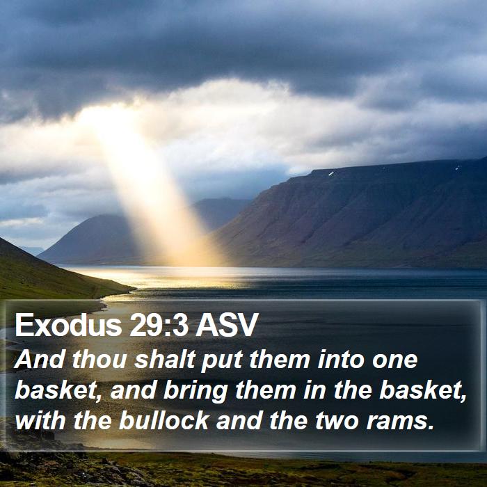 Exodus 29:3 ASV Bible Study