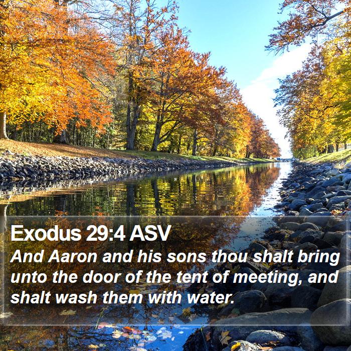 Exodus 29:4 ASV Bible Study