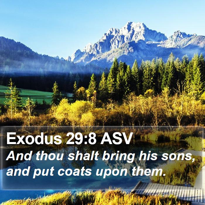 Exodus 29:8 ASV Bible Study