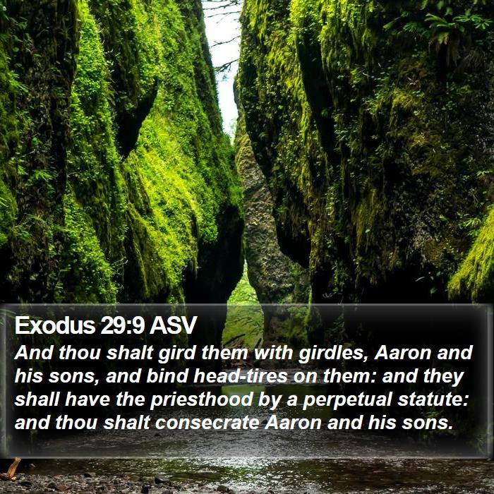 Exodus 29:9 ASV Bible Study