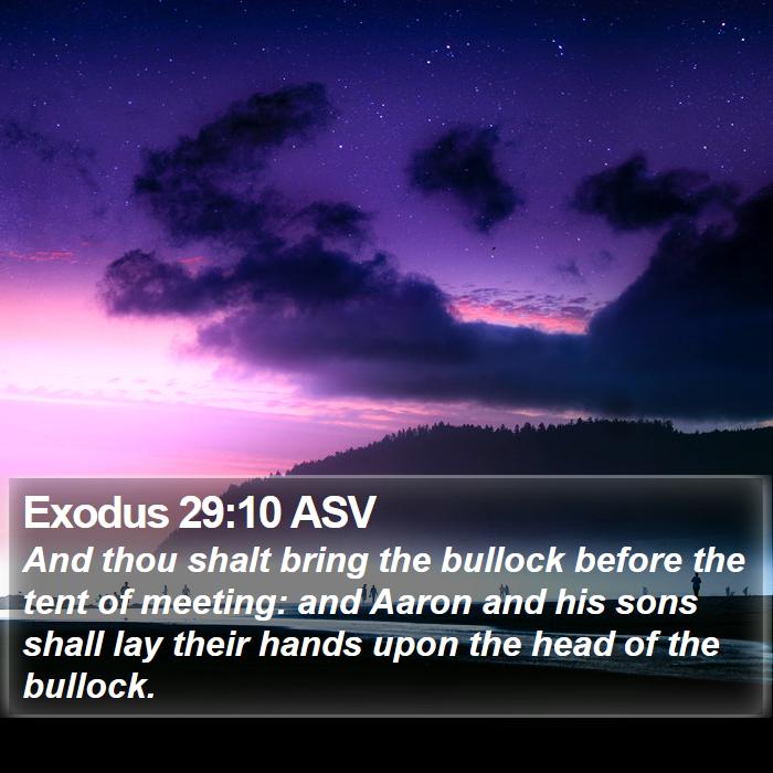 Exodus 29:10 ASV Bible Study