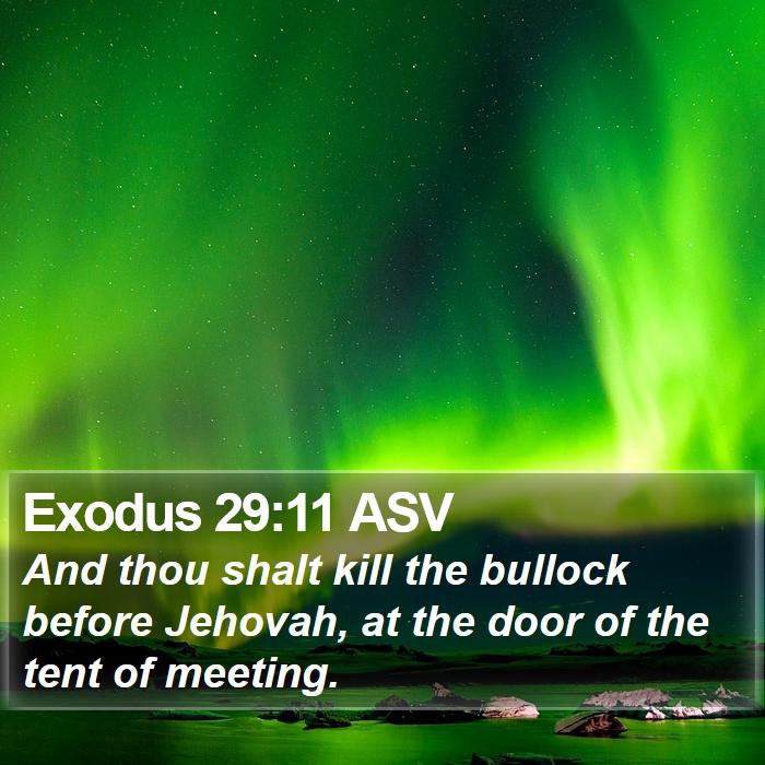 Exodus 29:11 ASV Bible Study