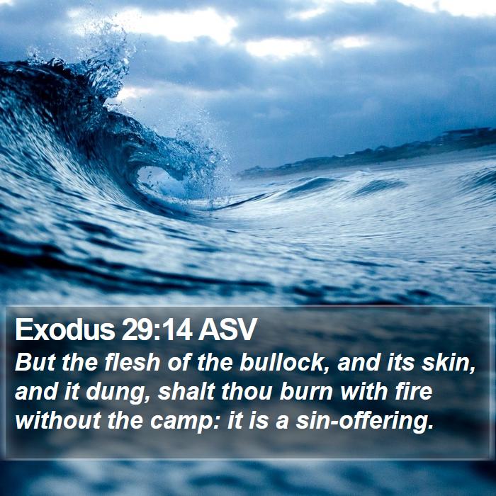 Exodus 29:14 ASV Bible Study