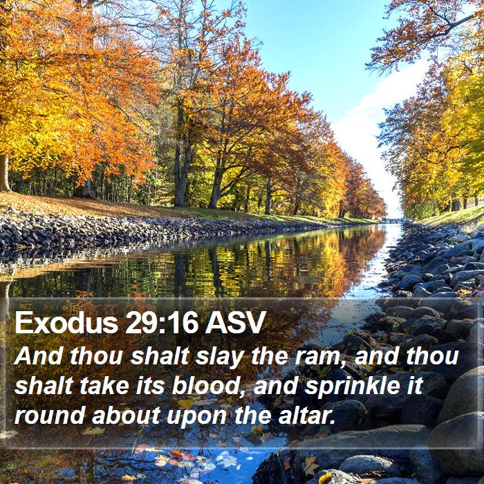 Exodus 29:16 ASV Bible Study