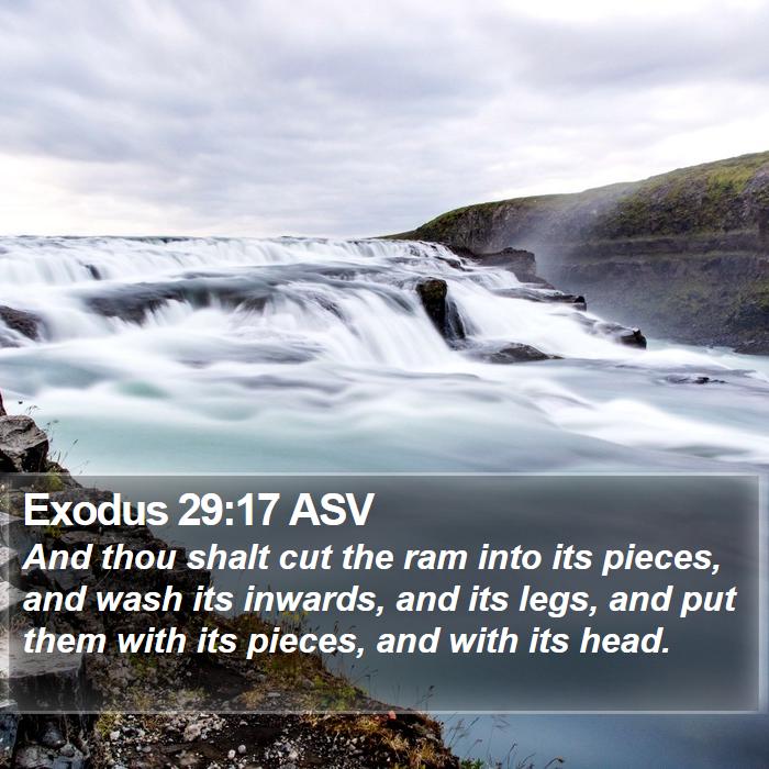 Exodus 29:17 ASV Bible Study