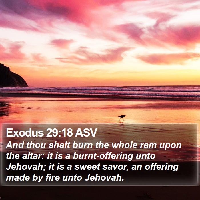 Exodus 29:18 ASV Bible Study