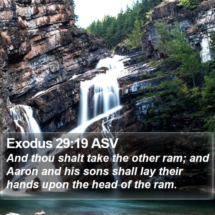 Exodus 29:19 ASV Bible Study