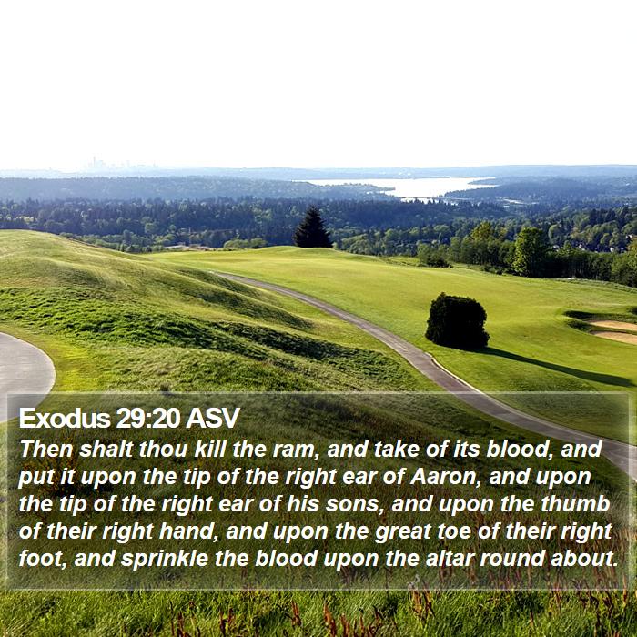 Exodus 29:20 ASV Bible Study