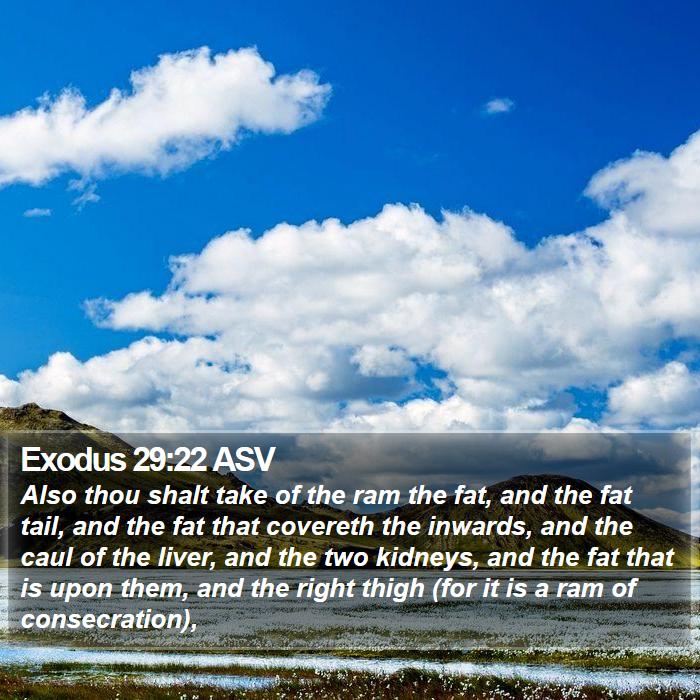 Exodus 29:22 ASV Bible Study