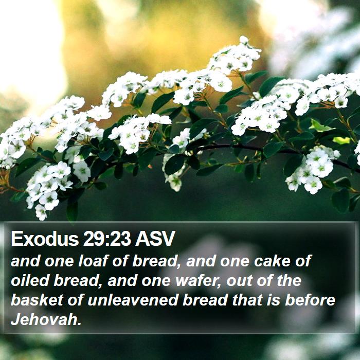 Exodus 29:23 ASV Bible Study