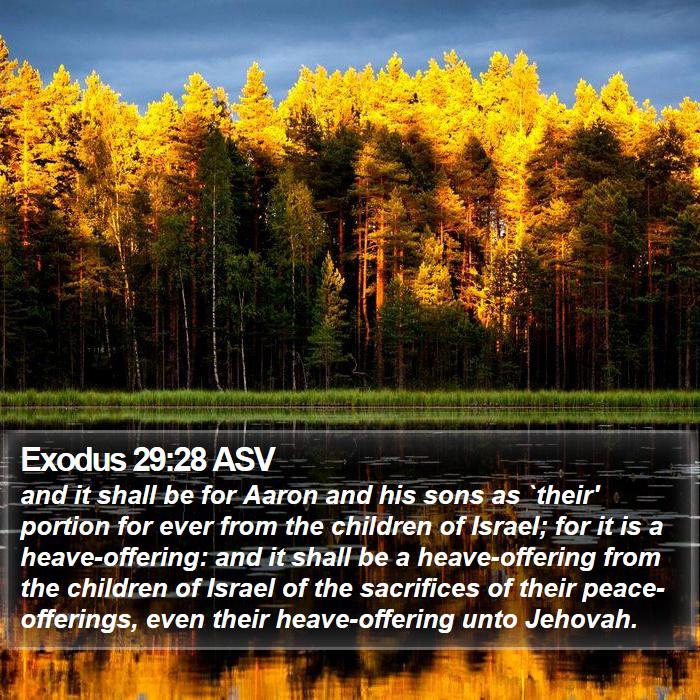 Exodus 29:28 ASV Bible Study