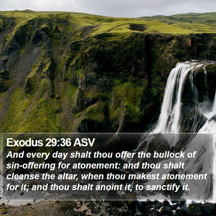 Exodus 29:36 ASV Bible Study