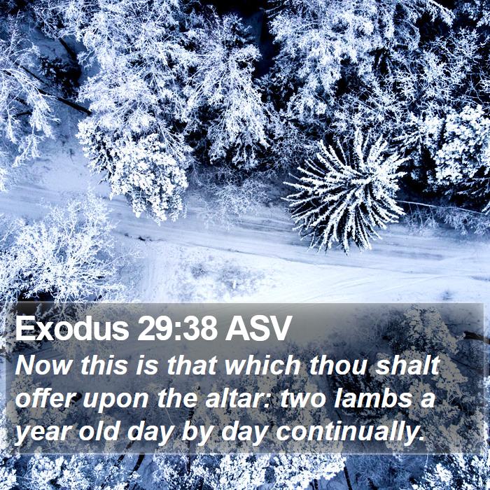 Exodus 29:38 ASV Bible Study