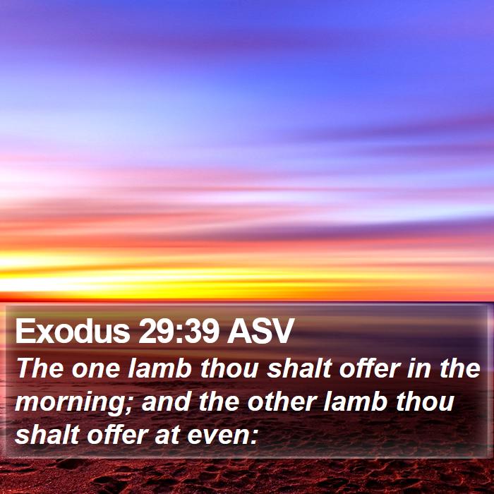 Exodus 29:39 ASV Bible Study