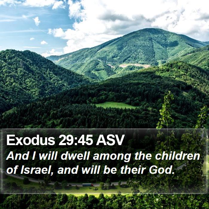 Exodus 29:45 ASV Bible Study