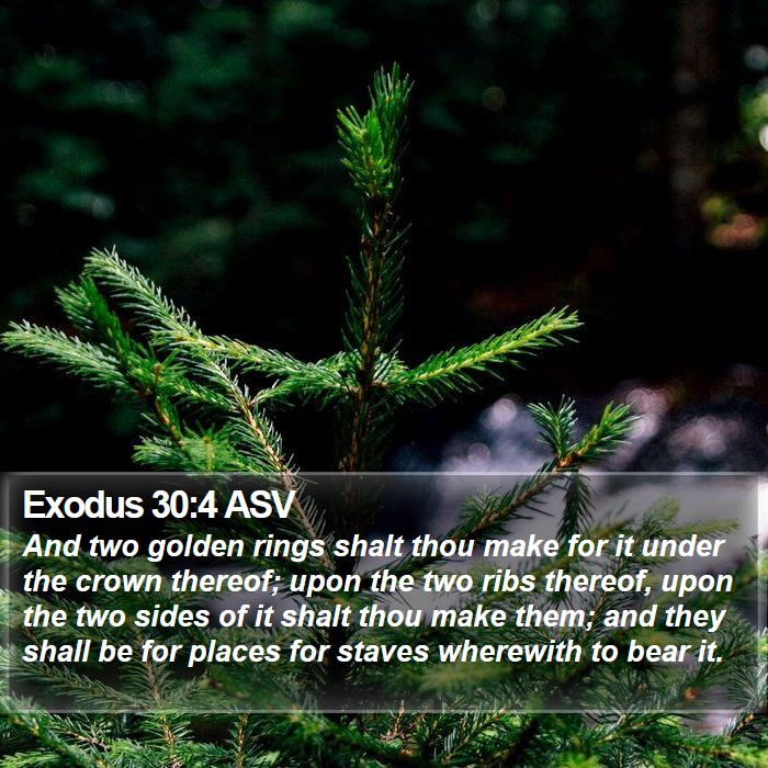 Exodus 30:4 ASV Bible Study