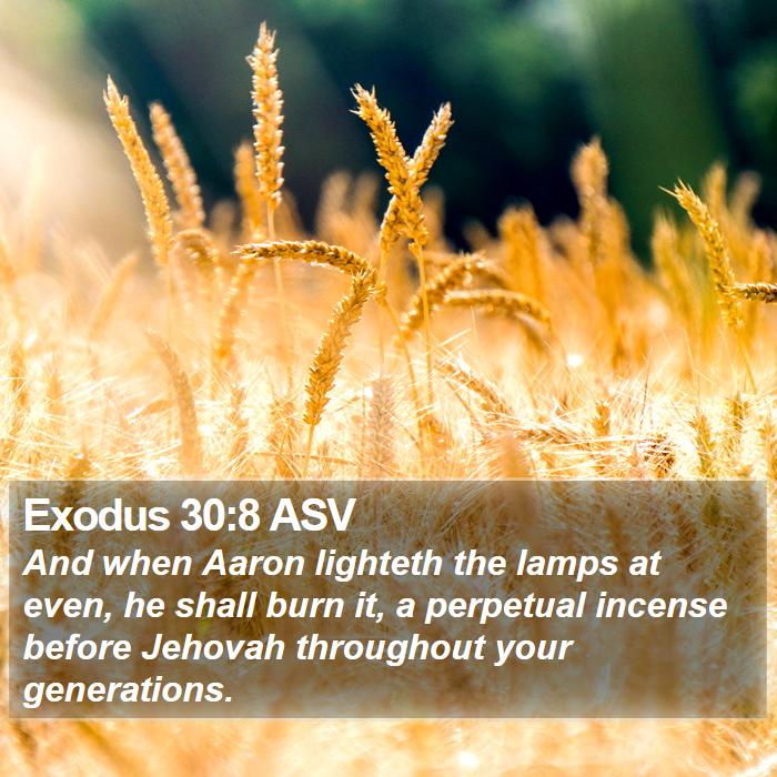 Exodus 30:8 ASV Bible Study