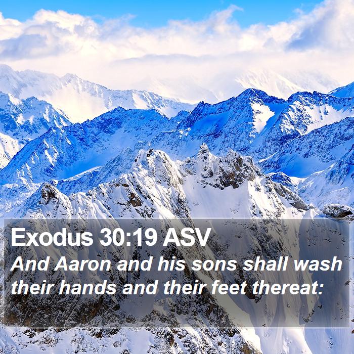 Exodus 30:19 ASV Bible Study