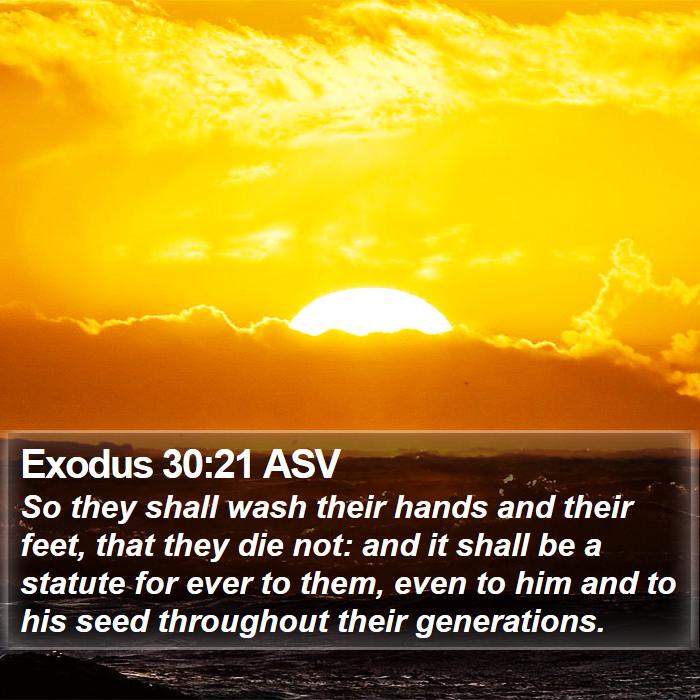 Exodus 30:21 ASV Bible Study