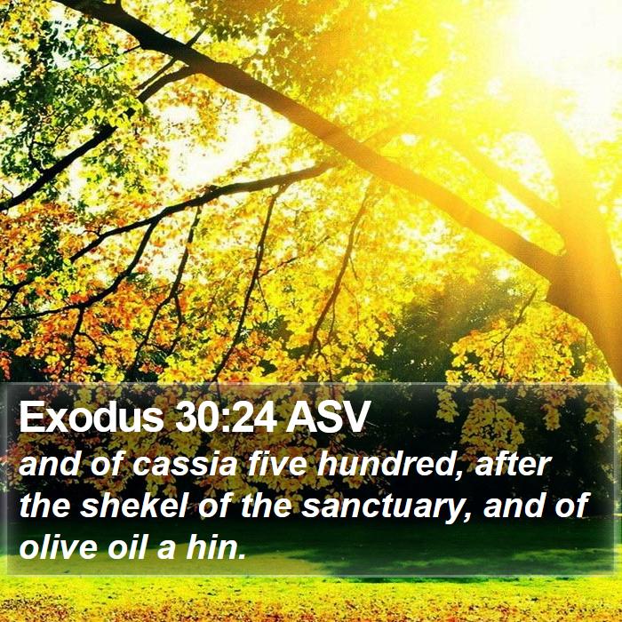 Exodus 30:24 ASV Bible Study