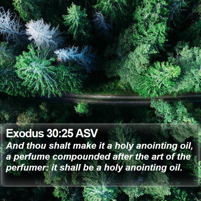 Exodus 30:25 ASV Bible Study