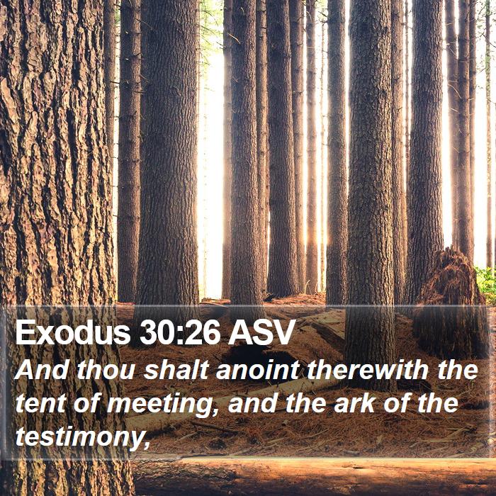 Exodus 30:26 ASV Bible Study