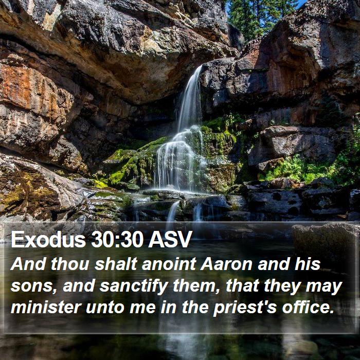 Exodus 30:30 ASV Bible Study