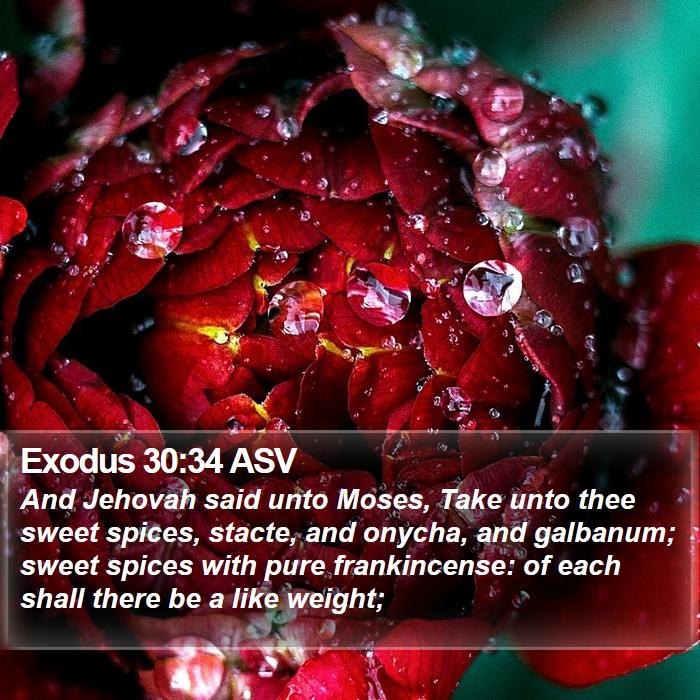 Exodus 30:34 ASV Bible Study