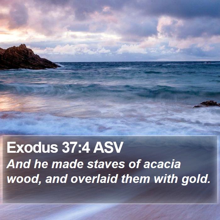 Exodus 37:4 ASV Bible Study