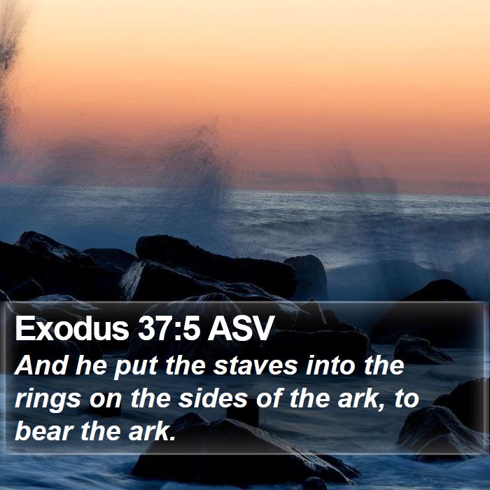 Exodus 37:5 ASV Bible Study