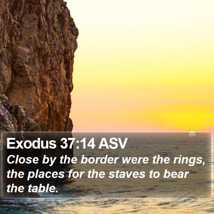 Exodus 37:14 ASV Bible Study