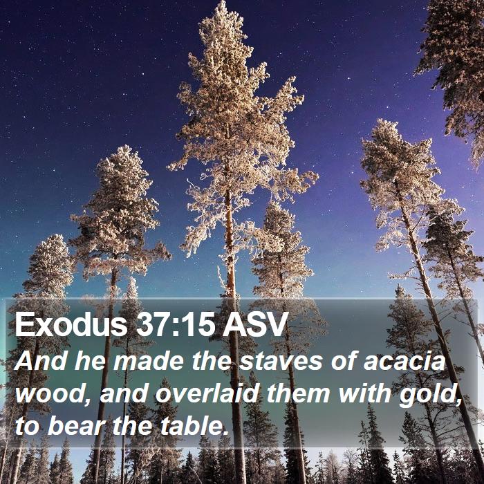 Exodus 37:15 ASV Bible Study