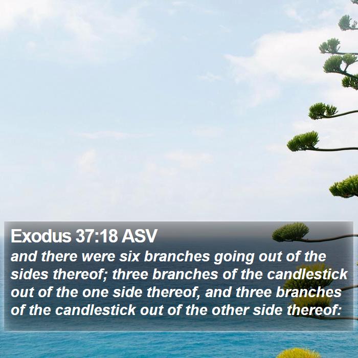 Exodus 37:18 ASV Bible Study