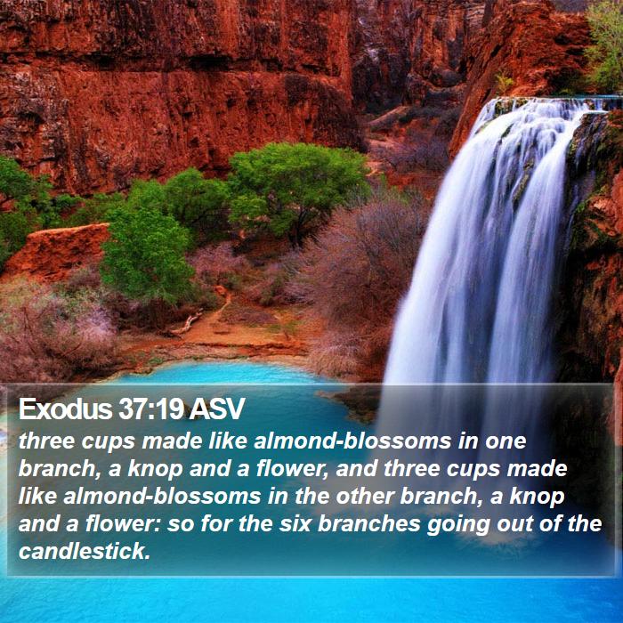 Exodus 37:19 ASV Bible Study