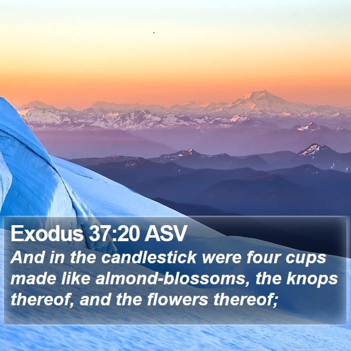 Exodus 37:20 ASV Bible Study