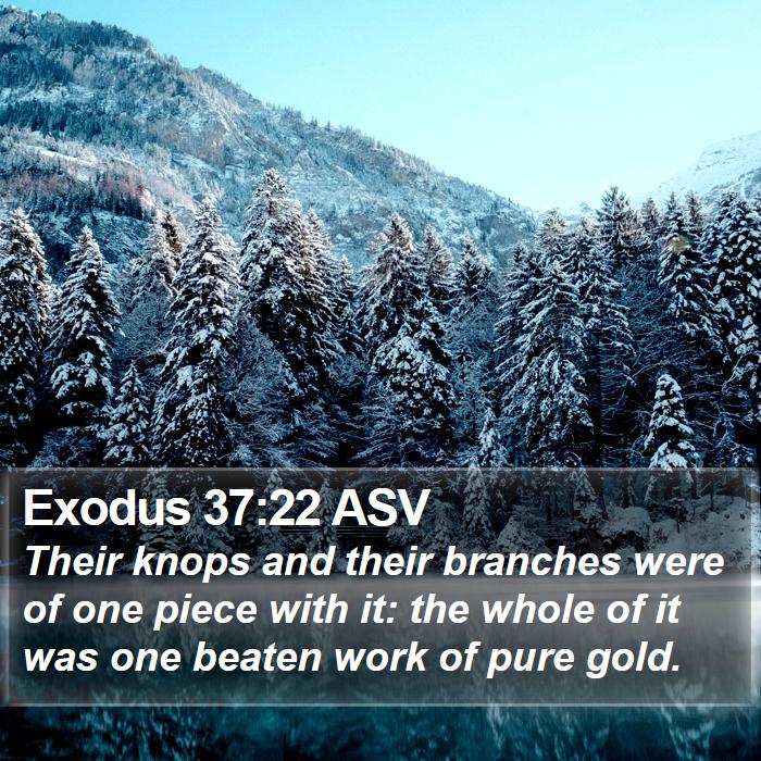 Exodus 37:22 ASV Bible Study