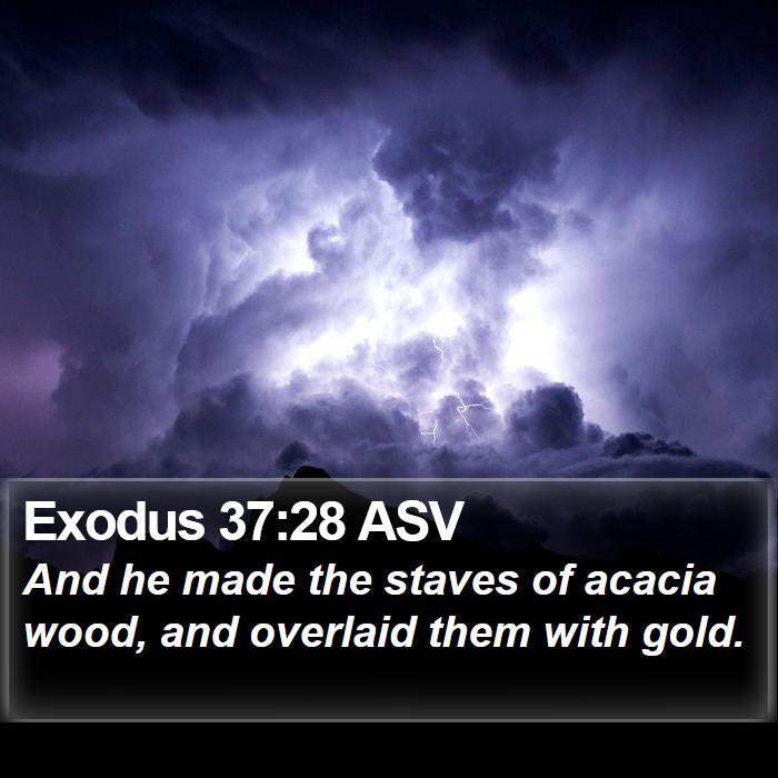 Exodus 37:28 ASV Bible Study