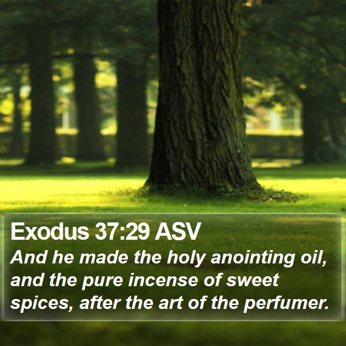 Exodus 37:29 ASV Bible Study