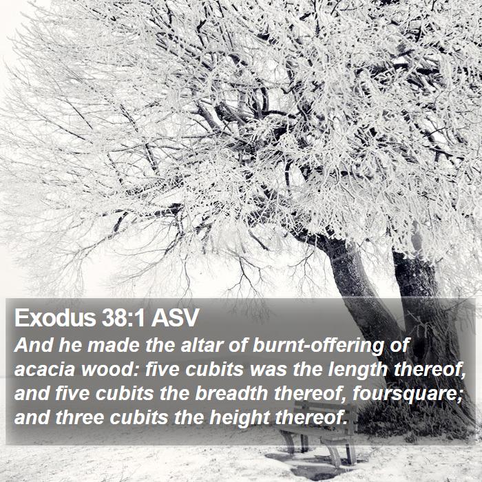 Exodus 38:1 ASV Bible Study