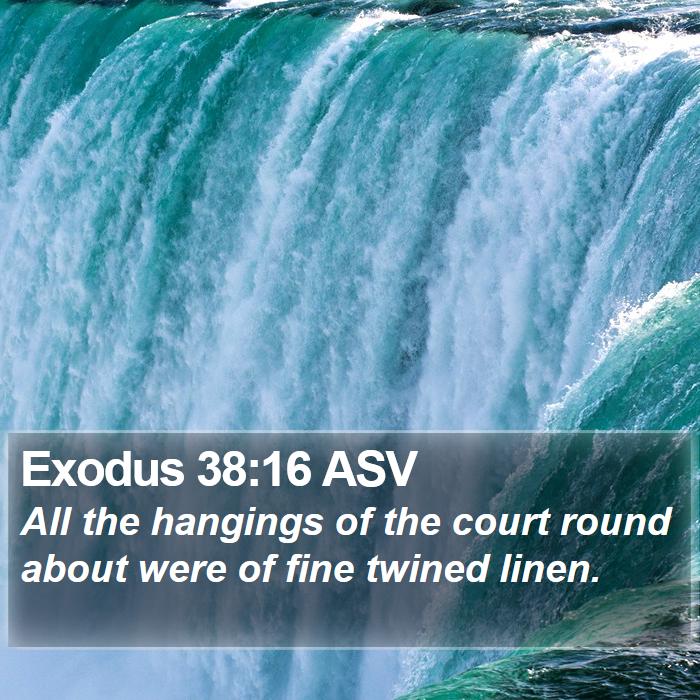 Exodus 38:16 ASV Bible Study