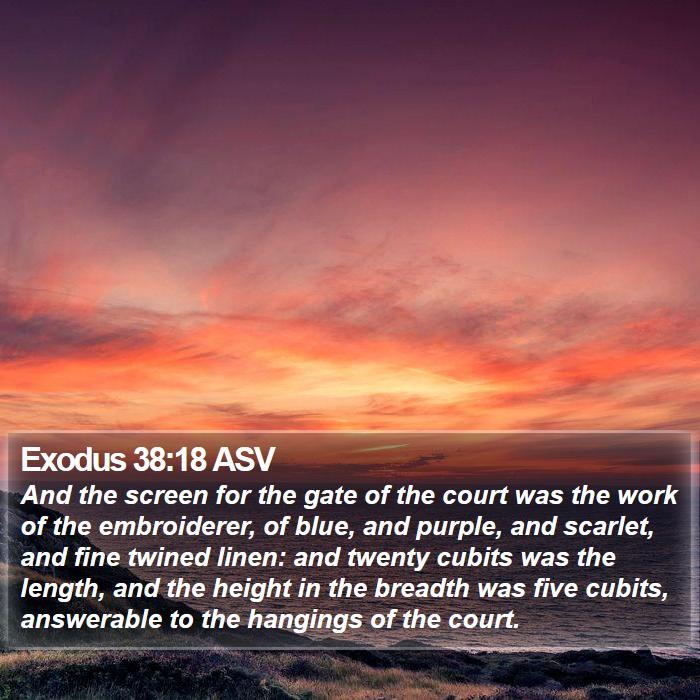 Exodus 38:18 ASV Bible Study