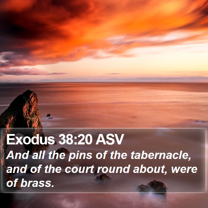 Exodus 38:20 ASV Bible Study