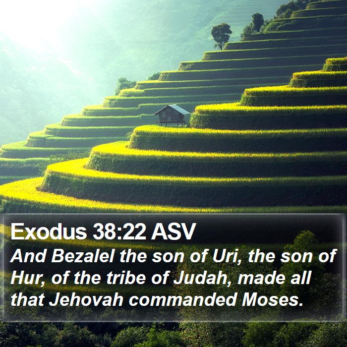 Exodus 38:22 ASV Bible Study