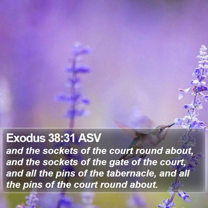 Exodus 38:31 ASV Bible Study