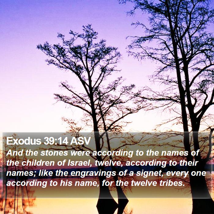 Exodus 39:14 ASV Bible Study