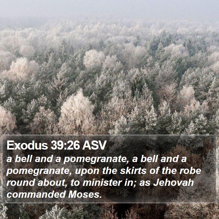 Exodus 39:26 ASV Bible Study